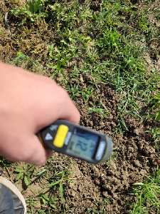 With the record high temperatures today, the conditions outside can be very unpleasant.  Today, we decided to look at the temperatures of the soil in different areas of our growing space to see how our straw, grass and bare dirt are holding up to the weather outside.