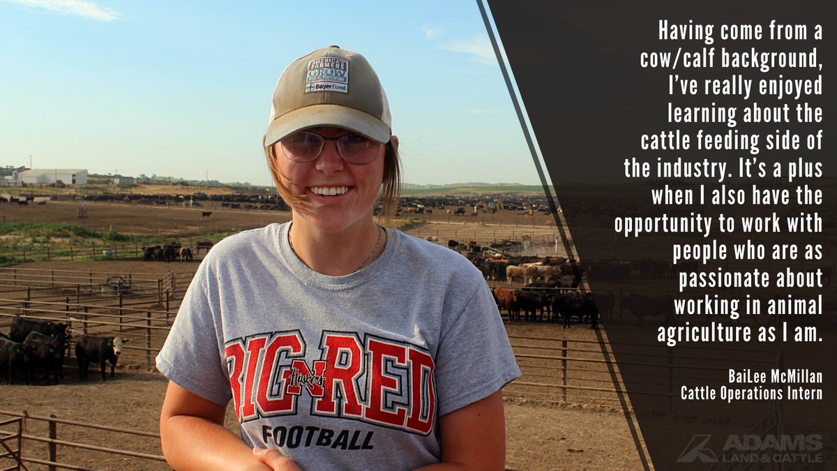 AdamsCattle's tweet photo. Meet one of our #AdamsInterns...BaiLee McMillan from the @UNLincoln! BaiLee has had the opportunity to work in many aspects of operations, including Cattle Health, Processing, and Feeding. Take a look at what she enjoys most about her #internship. https://t.co/vxJ6L8pt75
