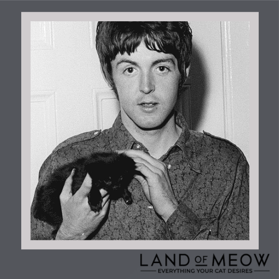 LandOfMeow's tweet photo. HAPPY BIRTHDAY to Sir Paul McCartney who is an English singer, songwriter, musician, and producer who gained worldwide fame as co-lead vocalist and bassist for the Beatles. His songwriting partnership with John Lennon remains the most successful in history!
#famouscatfridays https://t.co/umDMSWWLCi