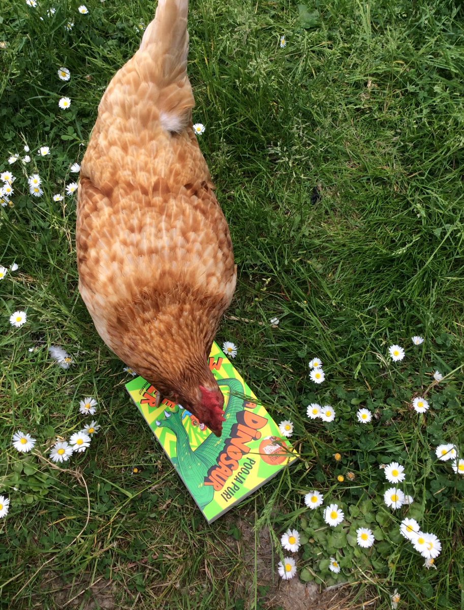 ChickensofR's tweet image. Bwark 🐔 What’s this? Can I eat it? @MarcusRashford Thank you, our children absolutely loving their new books 📖 #MarcusRashfordBookClub #MarcusRashford 
@RavensworthTer