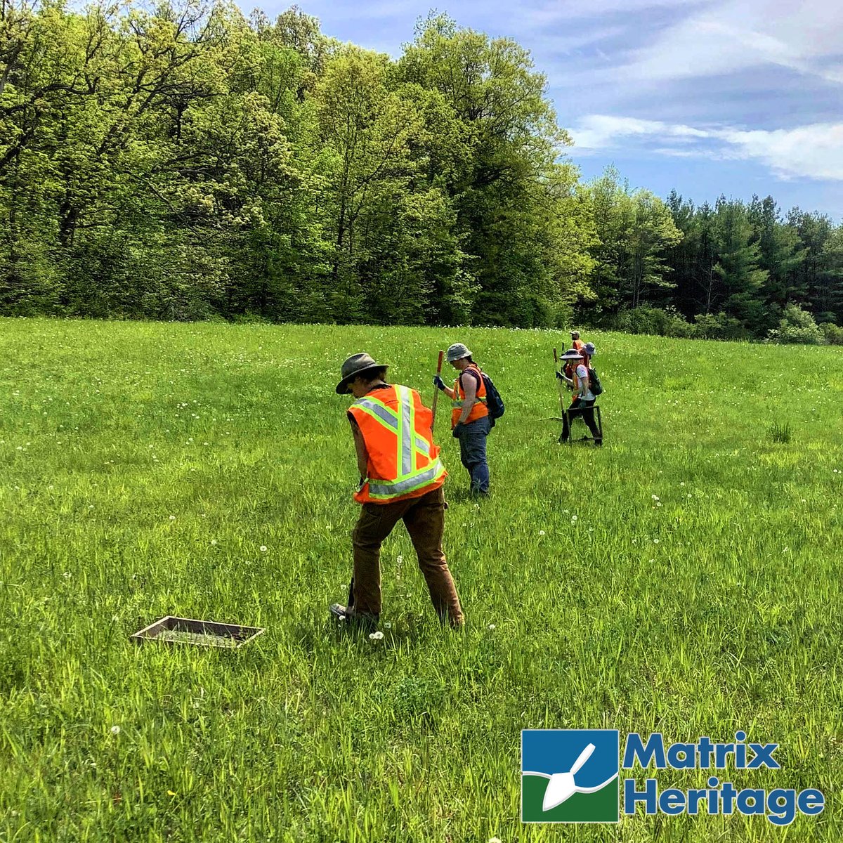 Our team is growing! We are hiring a Project Archaeologist to direct archaeological assessments/mitigations and complete Stage 1-4 reports.

For more details check out our job posting at ca.indeed.com/m/viewjob?jk=3…

#careers #archaeology #ontarioarchaeology