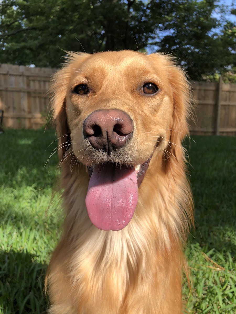 Sofa King tweet media