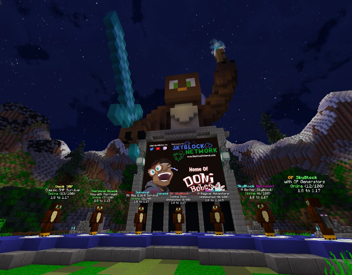 SkyblockNetwork tweet media