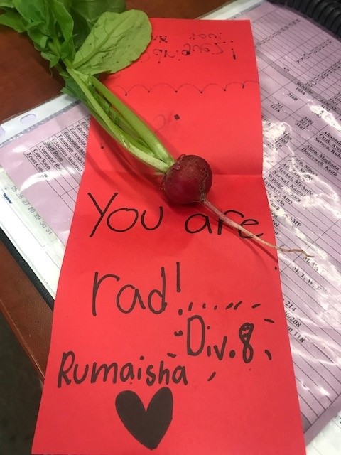 Sd36Prince's tweet photo. The Fruits (actually veggies) of Div 8's labour which then got transformed into sprinkling kindness to the Principal and Secretary with a 'rad' note. 🫒  PC is a rad school! @Surrey_Schools #sd36learn https://t.co/6mrpuHLK7g