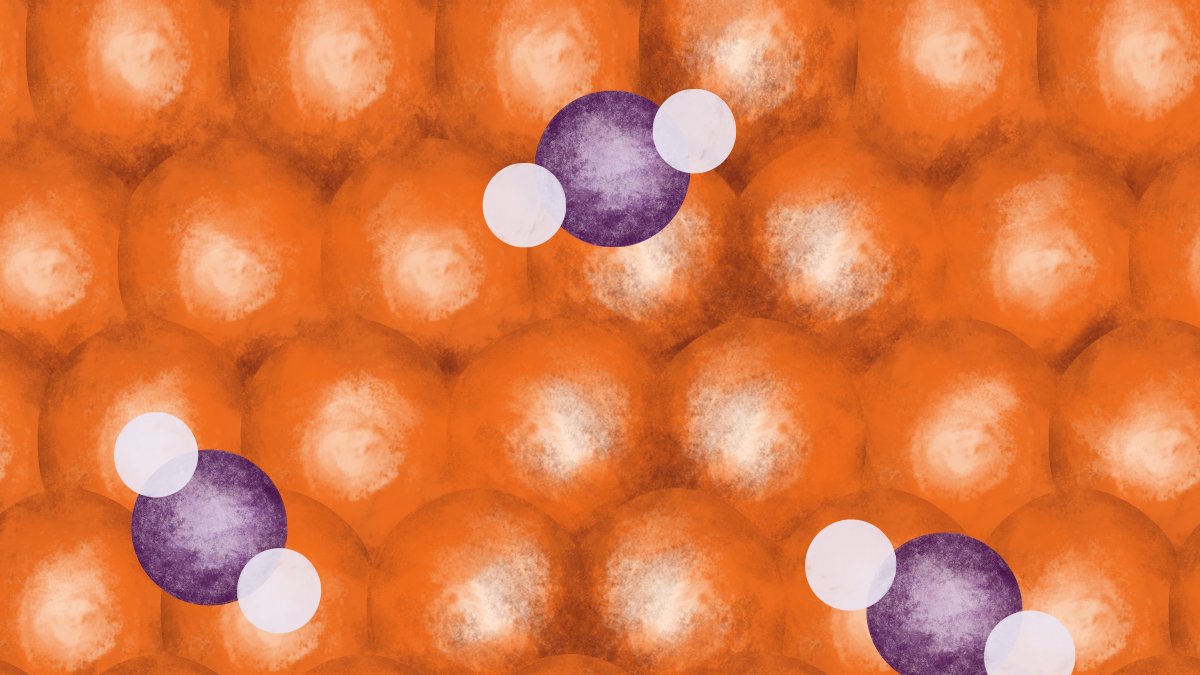 AIatMeta's tweet photo. We are launching the Open Catalyst Challenge, an open AI research competition to build new machine learning models that will help scientists discover new catalysts for efficient, economical green energy storage. 
Learn more: https://t.co/G7DhxRgfC5 https://t.co/c52d95s3uw