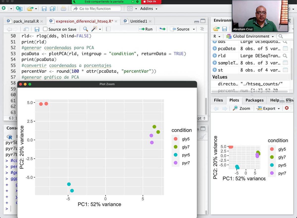 abcruzm's tweet photo. Día 4 del Taller de #Bioinformática RNA-Seq, con el módulo "Análisis de expresión génica diferencial en R/DESeq".
🧬🧑‍💻
#PCA https://t.co/7rlRmW2Rbs