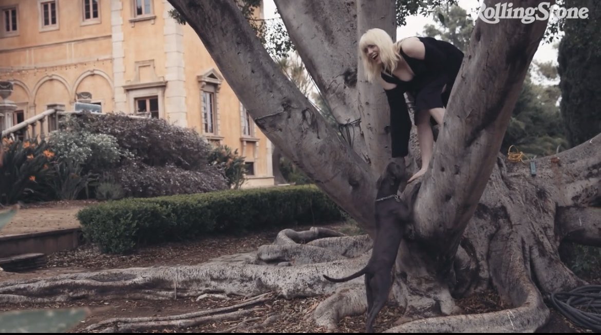 autiquityy's tweet photo. billie eilish really did a photoshoot at the tree where i cried at while i was supposed to be in history class https://t.co/B7XpCBuCDB