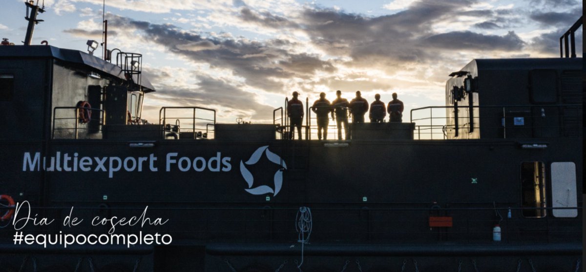 #COSECHA El gran día donde se luce el #equipocompleto y se ven los frutos de muchos meses de trabajo. #nuestrosalmon #trabajoenequipo #salmoneros #chile #salmonicultura #acuicultura