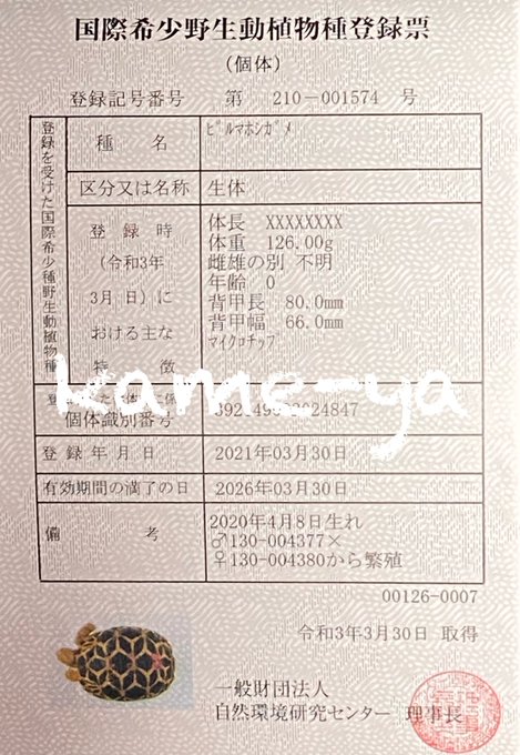 Kame Yaナオ さん のツイート 販売 の検索結果 2 Whotwi グラフィカルtwitter分析