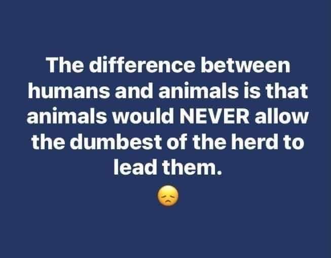 Michael V. tweet media