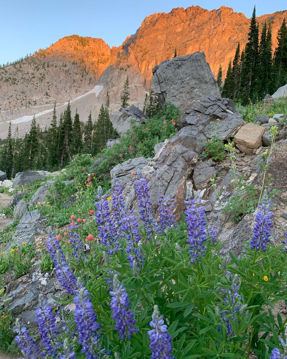 Sticking around Ski City for the summer? Here are the top things to do in Little Cottonwood Canyon: bit.ly/2U08Cwa

📷: (IG) <a href="/adambagelboy/">Adam Fehr</a>