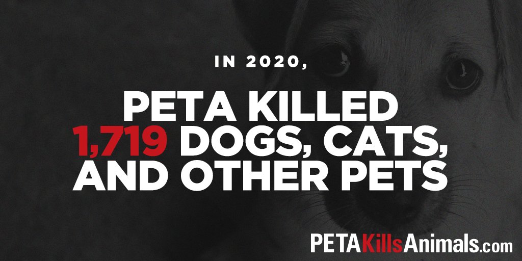 How Many Dogs Have Peta Killed