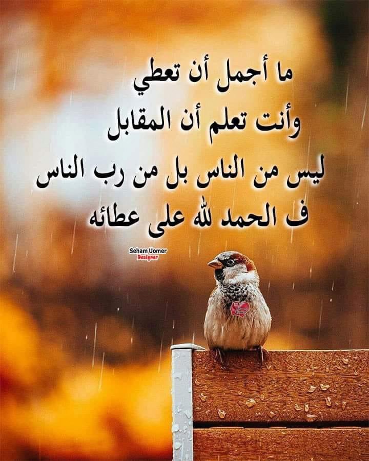 dv_qgr's tweet photo. https://t.co/eb1E39jwyk