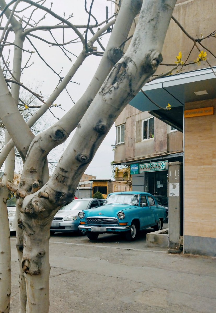 ManeNersisyan's tweet photo. #Inbetweenshots 📸 or the past is always present 🤔
#Oldisgold #Anahit #Goddess #Armenia #Armenian #Art #Artwork #Oldcar #SovietArt https://t.co/nMSAytfGTI
