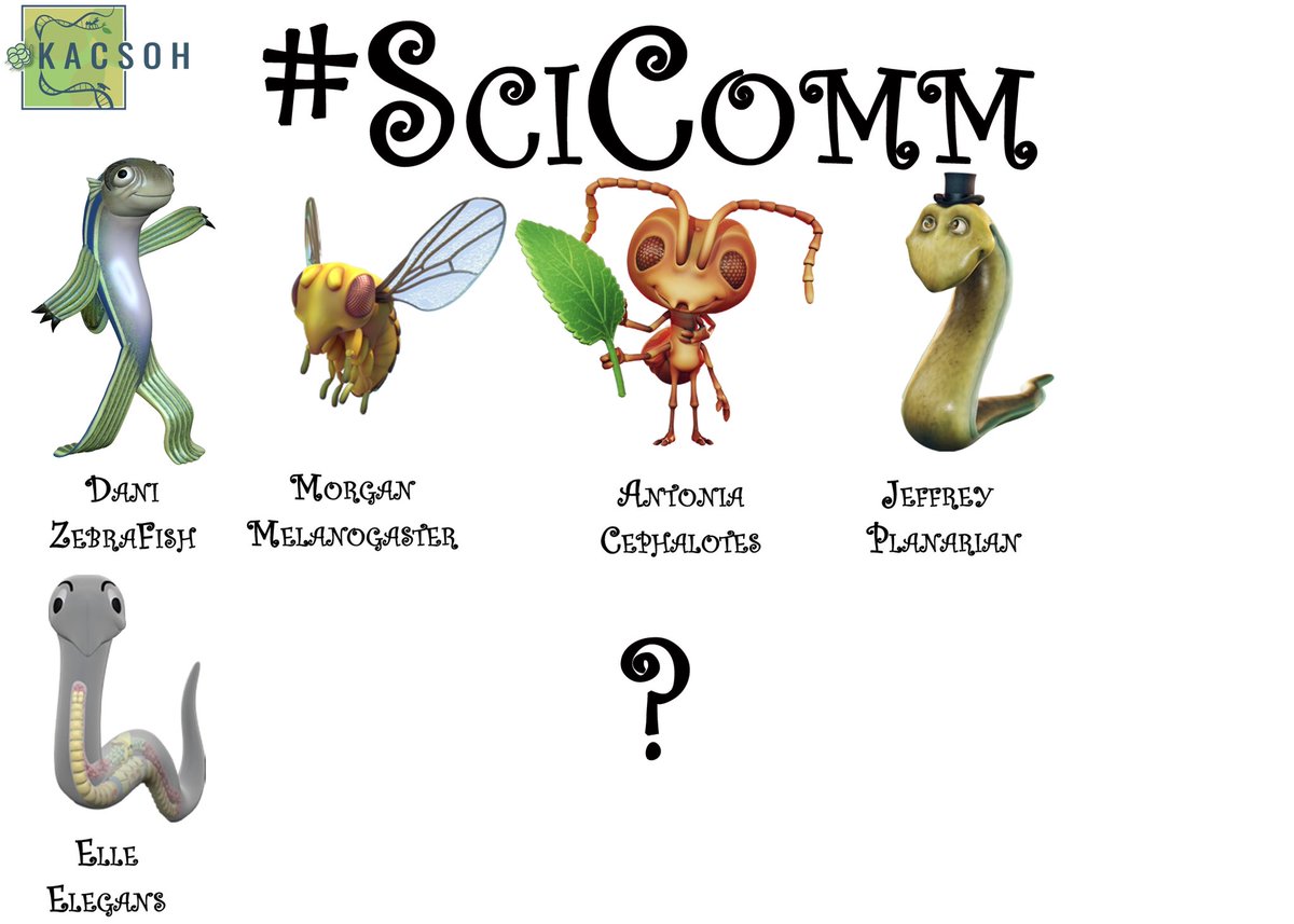 BalintZKacsoh's tweet photo. The #SciComm cast of characters is growing fast! Welcome the newest edition of Elle elegans! What system should come next? π€
#dros #worm #ant #planarian #zfish #Science #ScienceCommunication #stemeducation #stem #stemforkids #3dmodel #SciArt #WomenInSTEM #3dart #3dmodeling https://t.co/AG9mc1K4e3