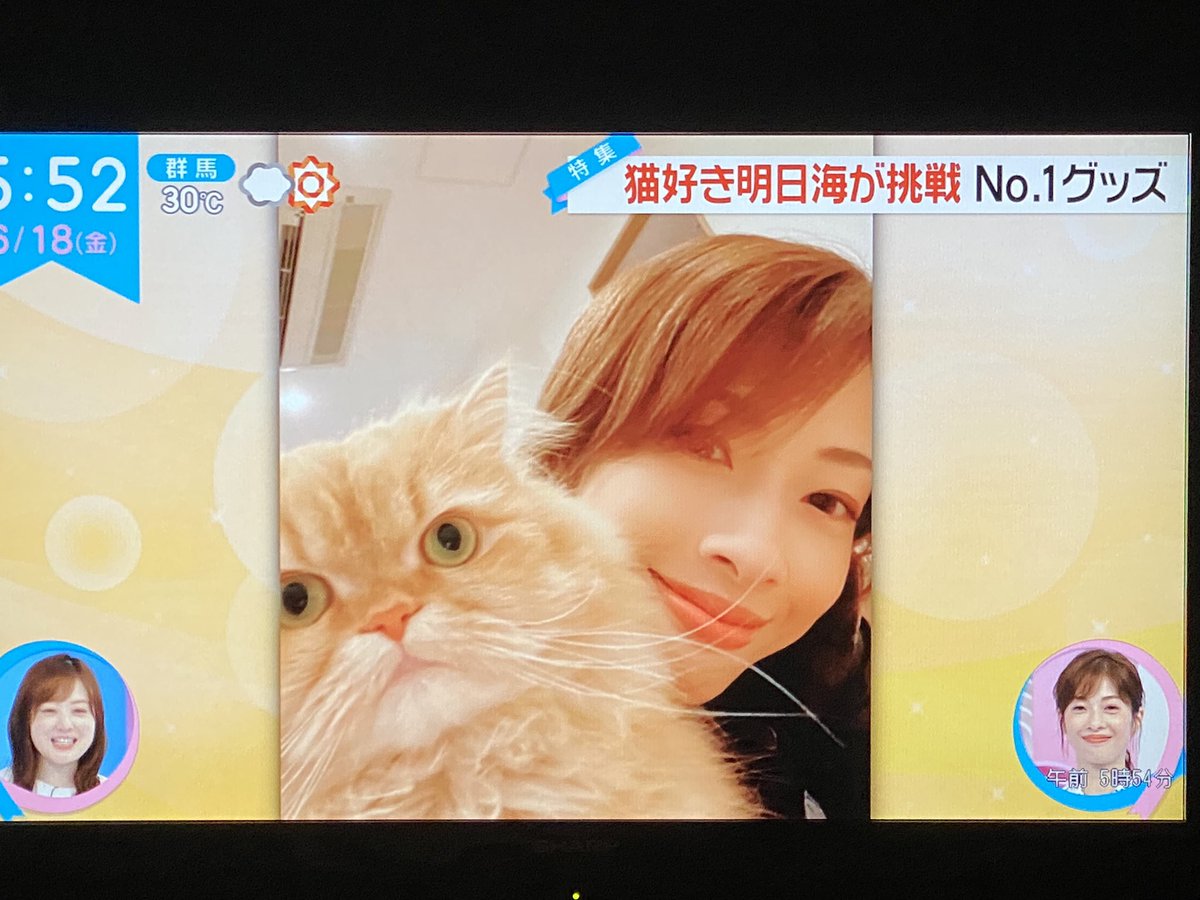 Bambi Pa Twitter おこげも全国デビュー Zip 明日海りお 愛猫 おこげ Bambi Pa Twitter おこげも全国デビュー Zip 明日海りお 愛猫 おこげ