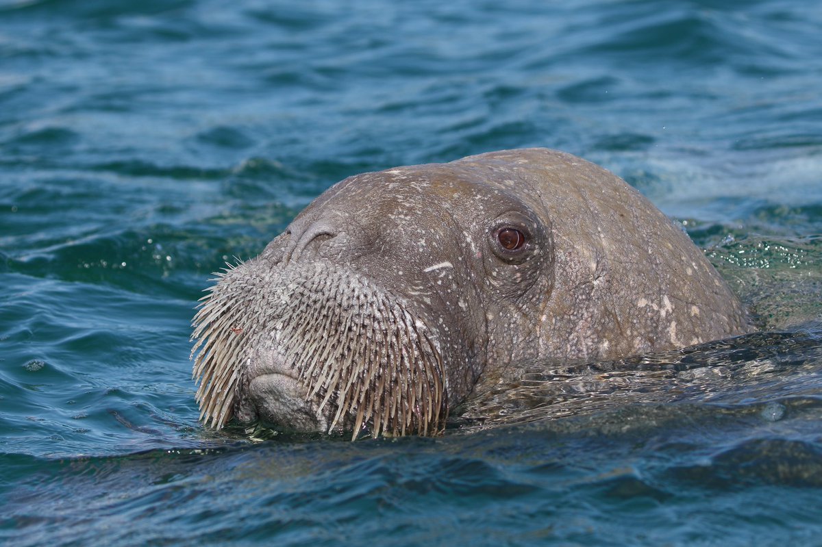 St. Mary’s Patch tweet media