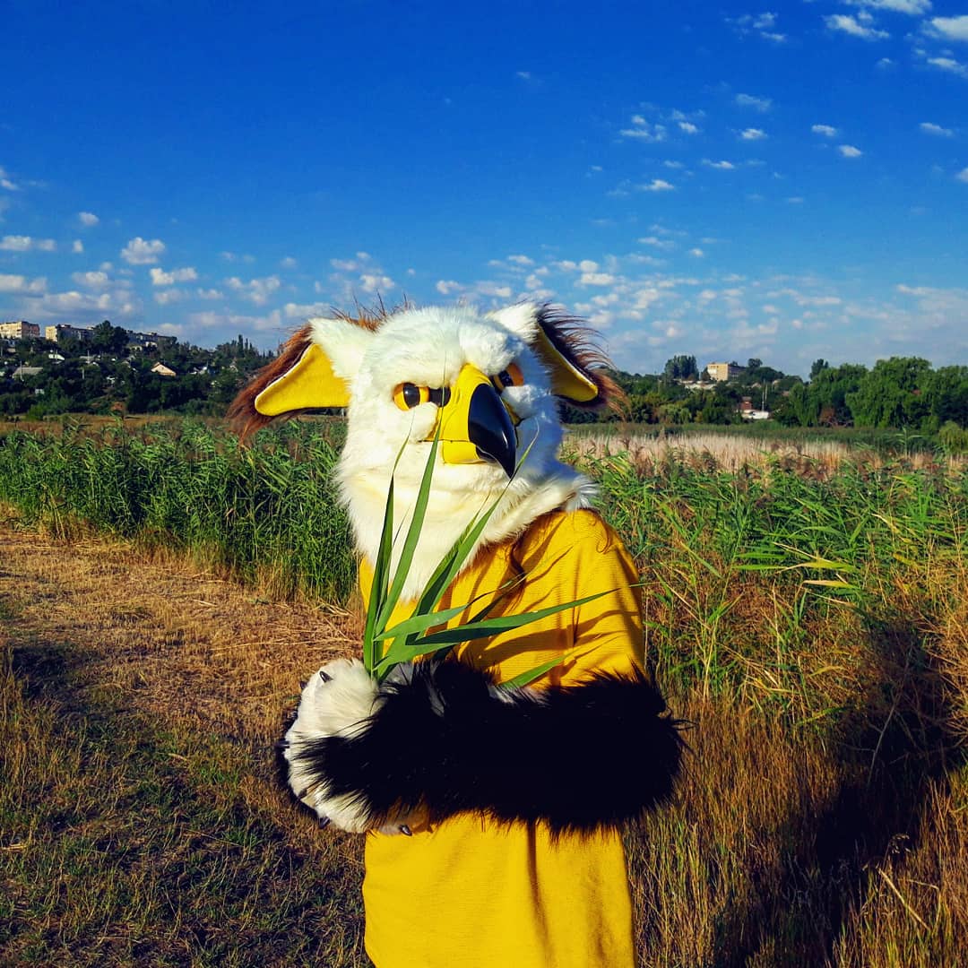 #fursuitcommissionopen #skulldog #fursuitforsale