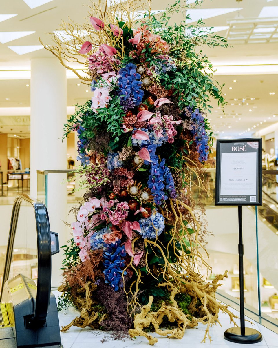 HoltRenfrew's tweet photo. IN BLOOM 🌸 Discover the floral trail in Vancouver and view two floral installations, Oceanfront Evening and Afternoon Picnic, from local florist Flowerz as part of Fleurs de Villes in support of breast cancer research. Click for more info! > https://t.co/Ve1DMtKg77
📷: @bokuria https://t.co/UI6DwIo1cY