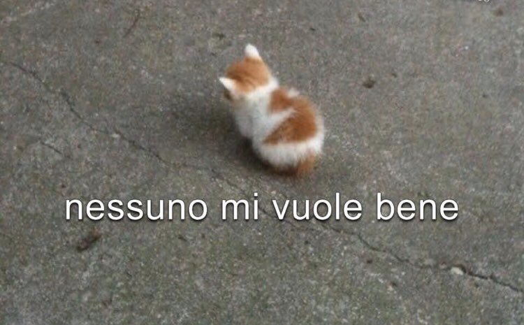 ImDisagiato's tweet photo. io: sono una persona forte, matura e razionale

sempre io dopo una minima discussione: https://t.co/KYB6dnCwEn