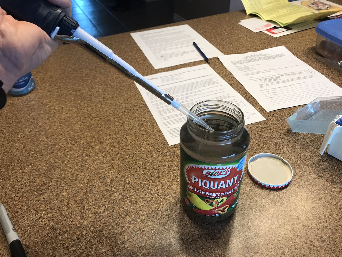 Spray_Guy's tweet image. Friends, if you haven’t pipetted micronutrients into a pickle jar full of pond scum you simply haven’t lived.
@cowbrough 

#BackyardScience
#Spray21
