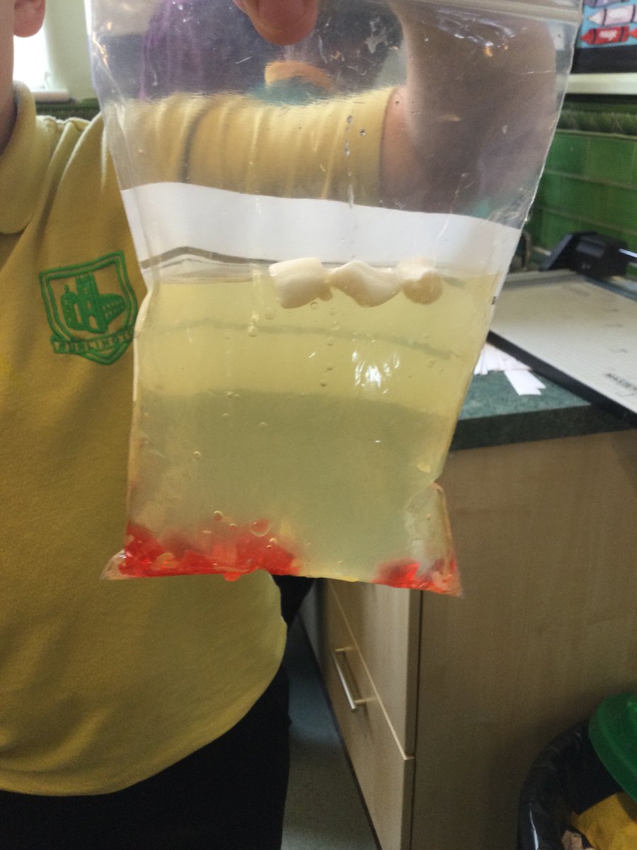 burlingtonjnr's tweet photo. Year 6 have been studying the human circulatory system - today we made blood. It needed more red blood cells (jelly) but they understood what the constituents of blood were and what each did. #primaryscience #science #STEM @theASE @PriSciJournal #Year6 #Science #sciencerocks https://t.co/WGpwsrz8uK