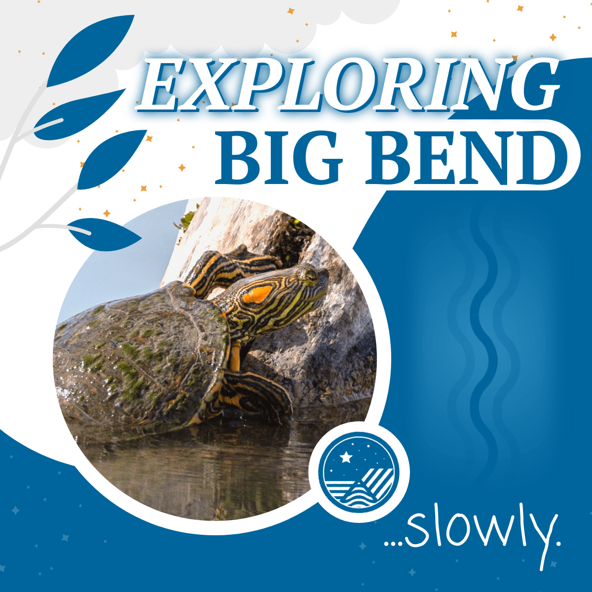 RespectBigBend's tweet photo. Did you know? Even though Big Bend is mostly desert, its bodies of water support lots of aquatic life! Big Bend is even home to several species of turtles, including the Big Bend Slider. #RespectBigBend https://t.co/Bqpz5wLN1h