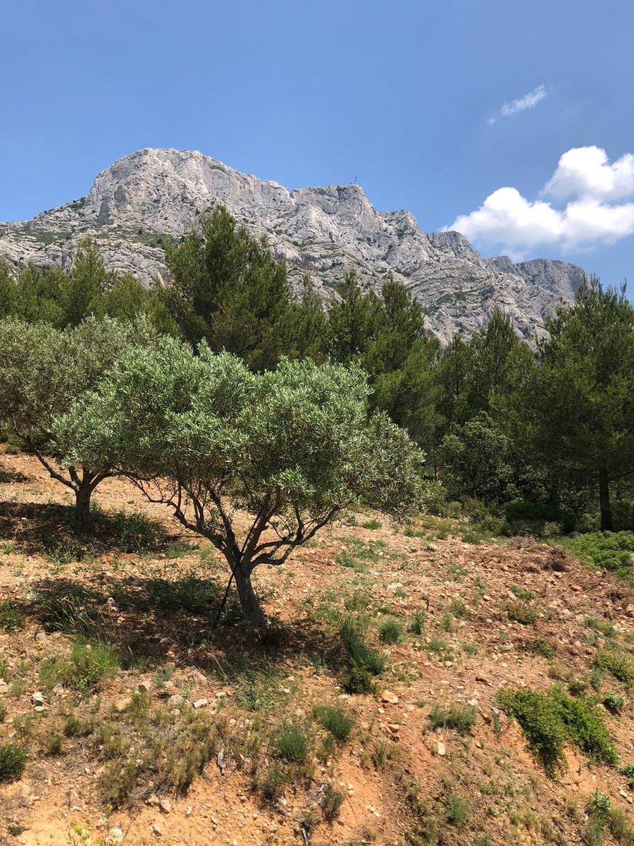 End of a wonderful week with the fabulous <a href="/A_RiskSolutions/">Audit&RiskSolutions</a> team 😎 ! Lot of training and brainstorming sessions but also a nice and athletic hike to the top of the famous Sainte Victoire