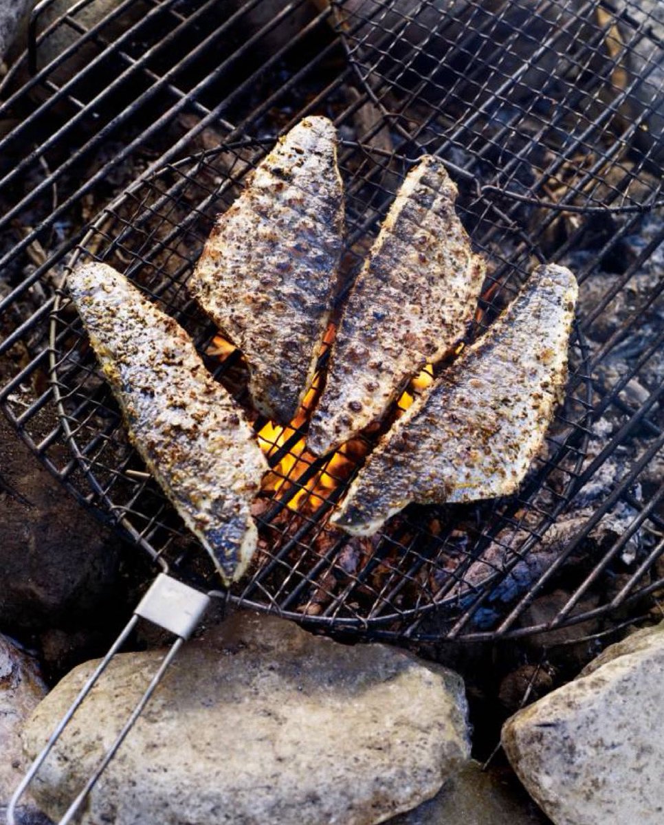 OPrepared's tweet image. Fresh caught fish is my favorite. #OzarksPrepared #Prepper #Shtf #Prepper #Bushcraft #Survival #FoodStorage #BugOutBag #GetHomeBag #Nature #Adventure #DIY #prepperfoodstorage #foodstorage #campfirefish