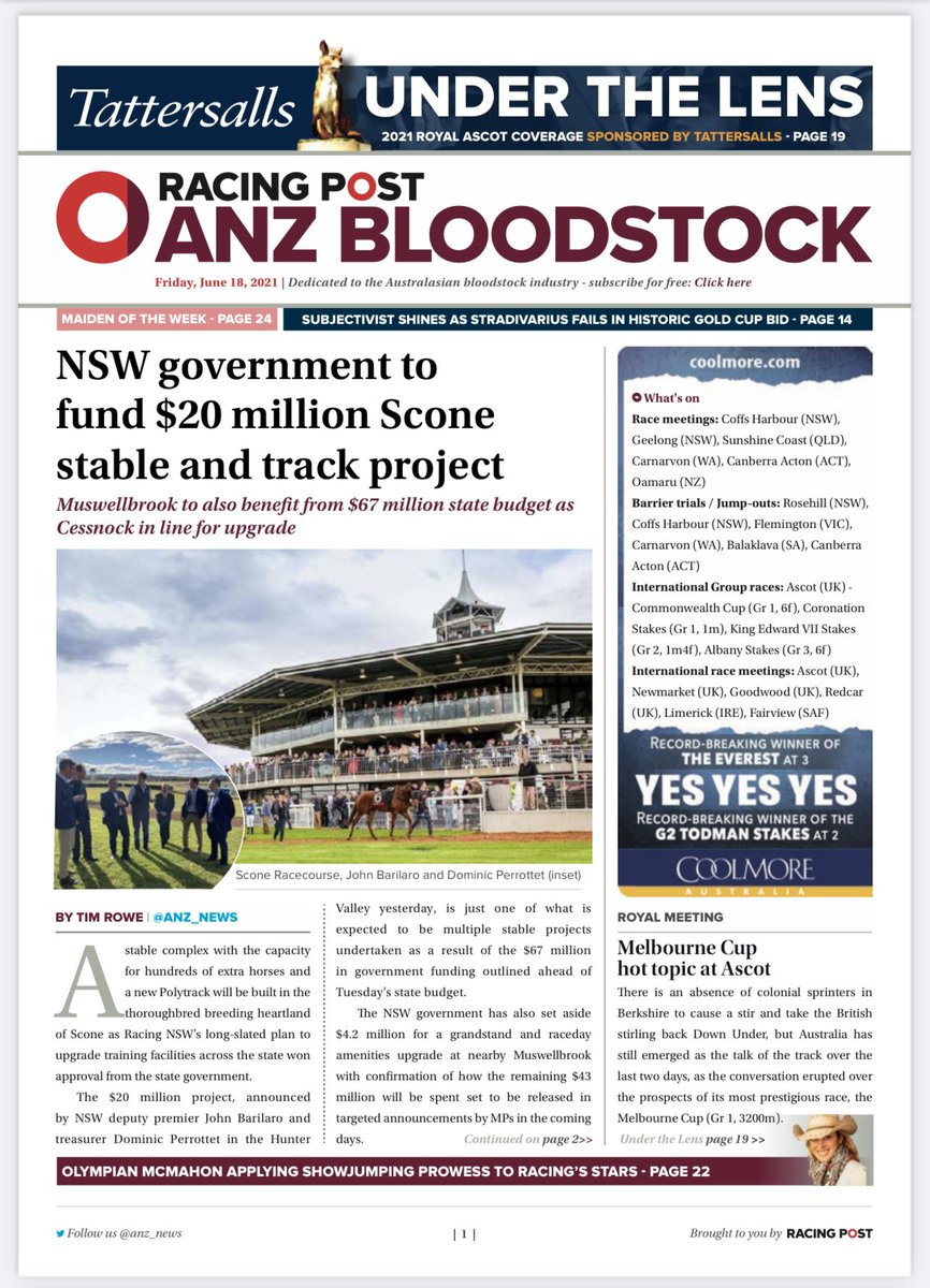 ANZ News tweet media