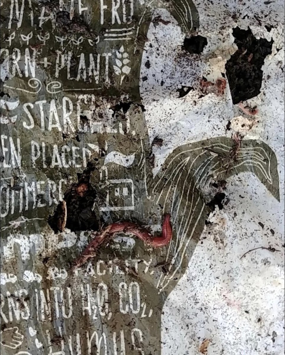 Commit to Green® tweet media