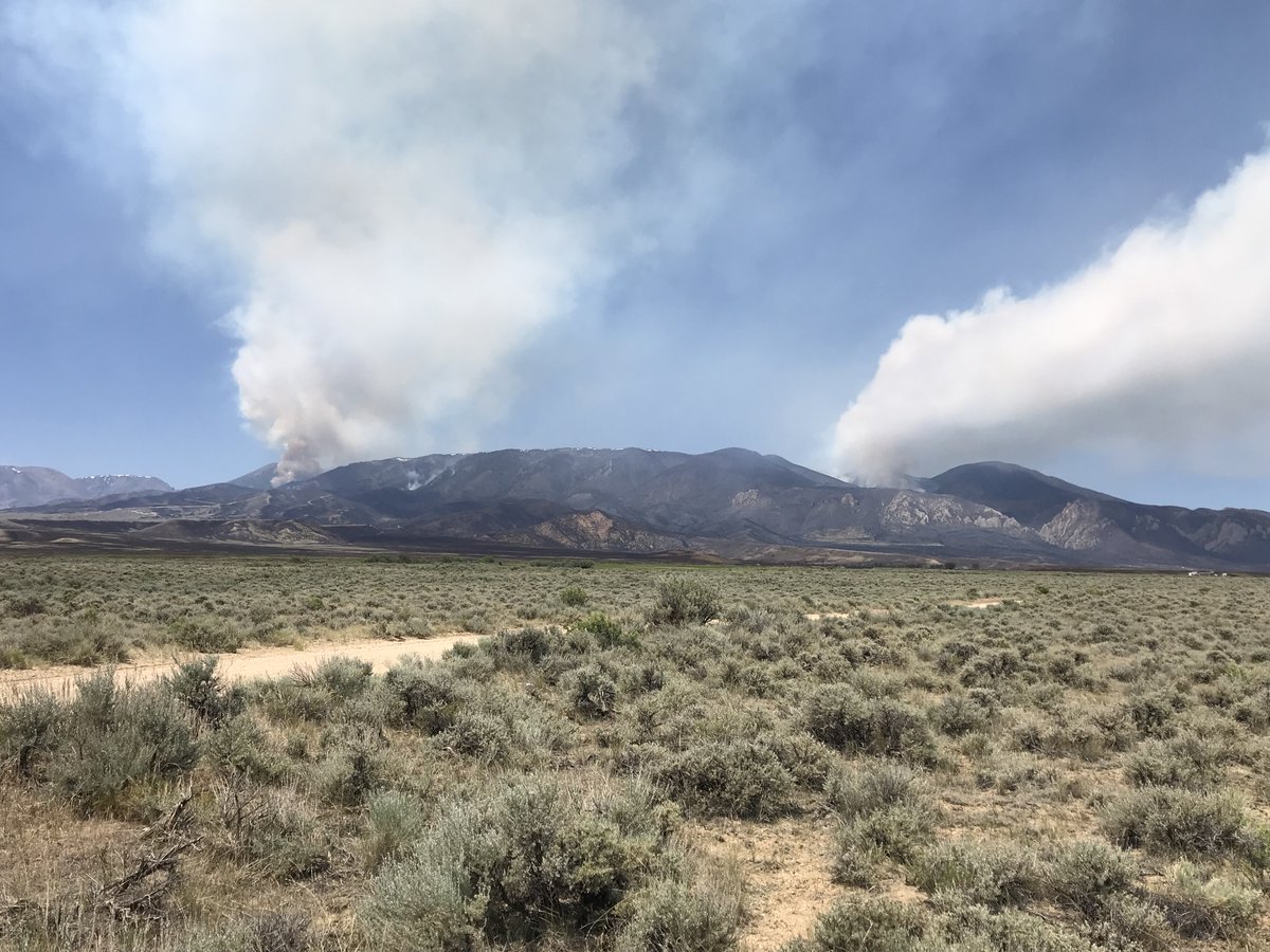 Gallatin NF (@gallatinnf) on Twitter photo #RobertsonDrawFire - Fire resources on the Robertson Draw Fire are making great progress working to meet objectives and looking for opportunities to minimize to the greatest extent possible any new fire growth. <a href="/CarbonAlert/">CarbonAlert</a> @Carboncountysheriff <a href="/RLAChamber/">Red Lodge Chamber</a> <a href="/redlodgefire/">RedLodge FIRE RESCUE</a> #RobertsonDrawFire - Fire resources on the Robertson Draw Fire are making great progress working to meet objectives and looking for opportunities to minimize to the greatest extent possible any new fire growth. <a href="/CarbonAlert/">CarbonAlert</a> @Carboncountysheriff <a href="/RLAChamber/">Red Lodge Chamber</a> <a href="/redlodgefire/">RedLodge FIRE RESCUE</a>