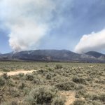 Photo by Gallatin NF (@GallatinNF)