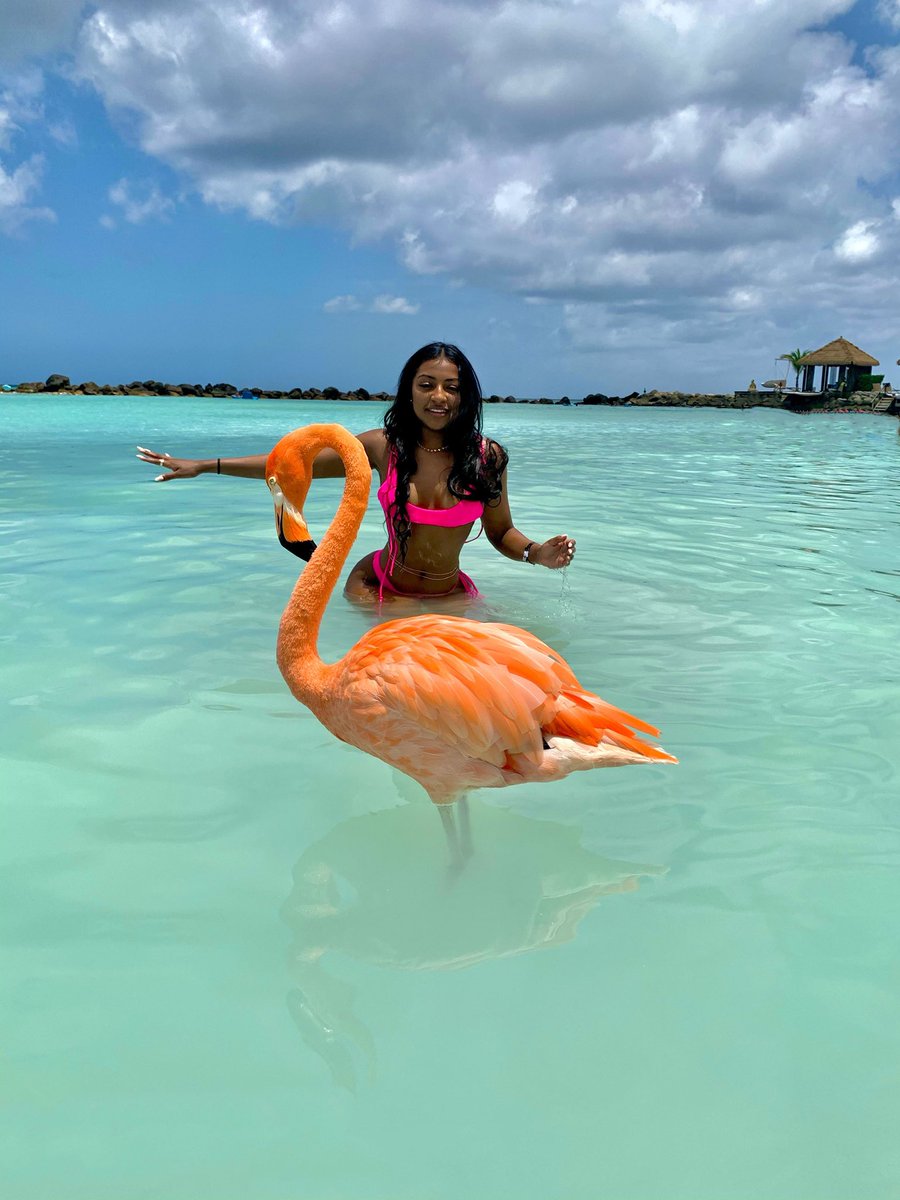 mariah_enriquez's tweet photo. just living life 🦩 https://t.co/5vC0lLRhKl