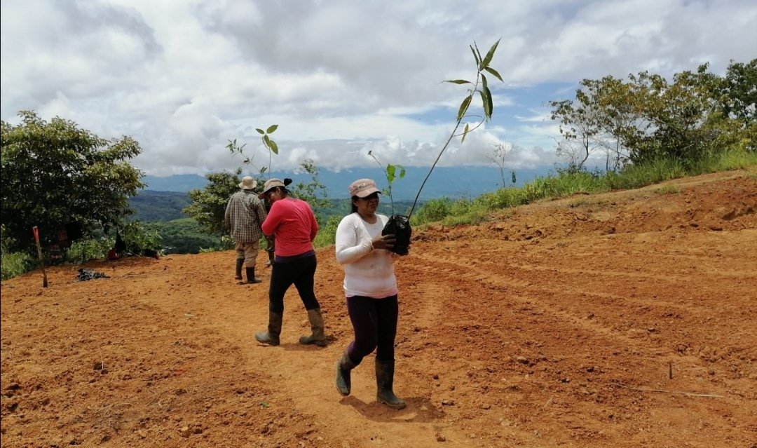 diwoambiental's tweet photo. 🌱¡Hoy es el Día de Lucha contra la #Desertificación y la Sequía!
La restauración ecológico del paisaje forestal y las comunidades son fundamentales para hacer frente a Desertificación y la Sequía.
#Restauración #2021WDCD #GeneraciónRestauración https://t.co/fzmhmymBMP