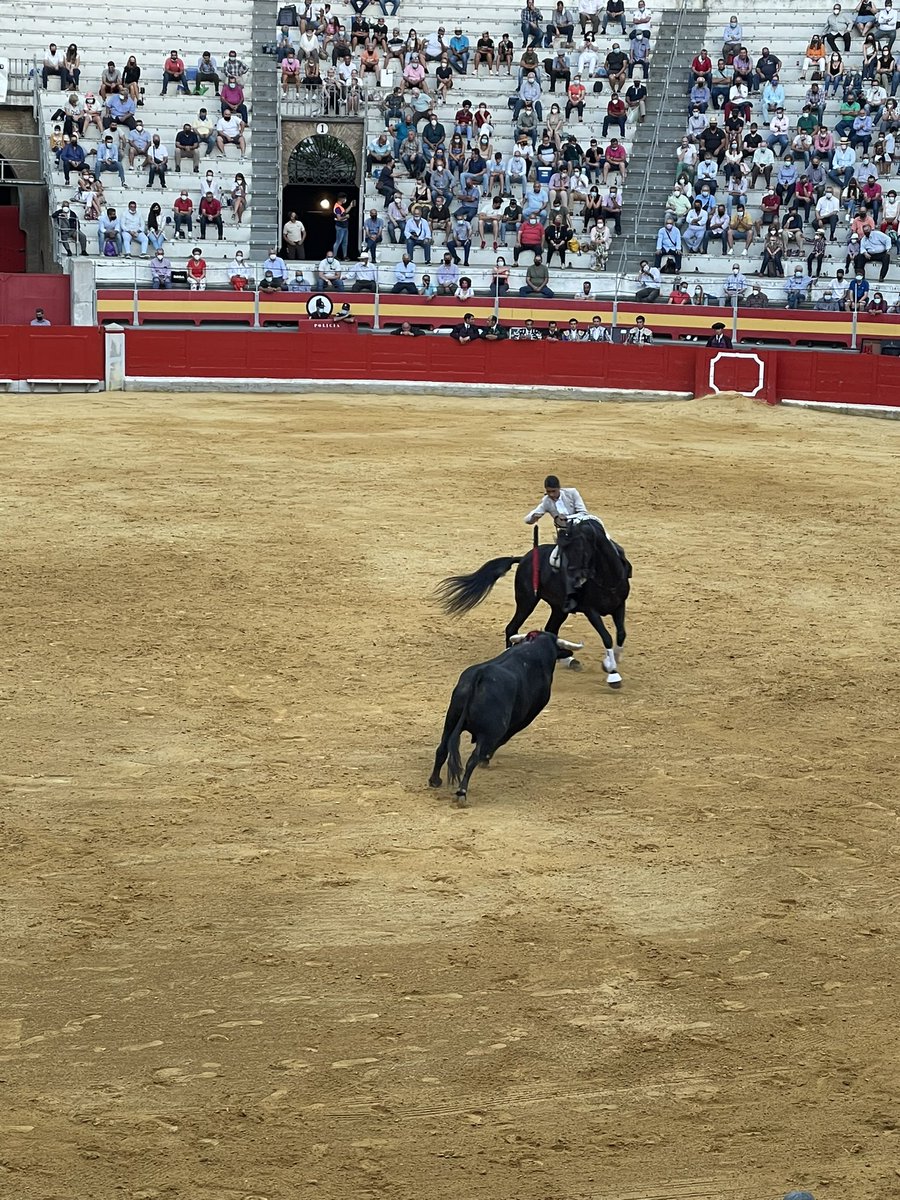 NOLITOgranada's tweet photo. @carruseltaurino @RAInformacion @LeaVicens @GuilleHermoso99 Gran tarde de Rejoneo en la monumental de Frascuelo, nadie va a acabar con esta, nuestra tradición ….. de dulce el relevo generacional de los Hermoso, magnificas faenas las de @GuilleHermoso99 , Enhorabuena!! https://t.co/jSx6m3f0bc