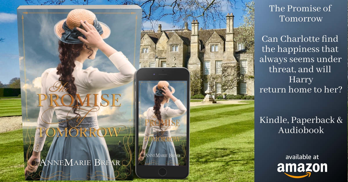 AnneMarie Brear Author tweet media