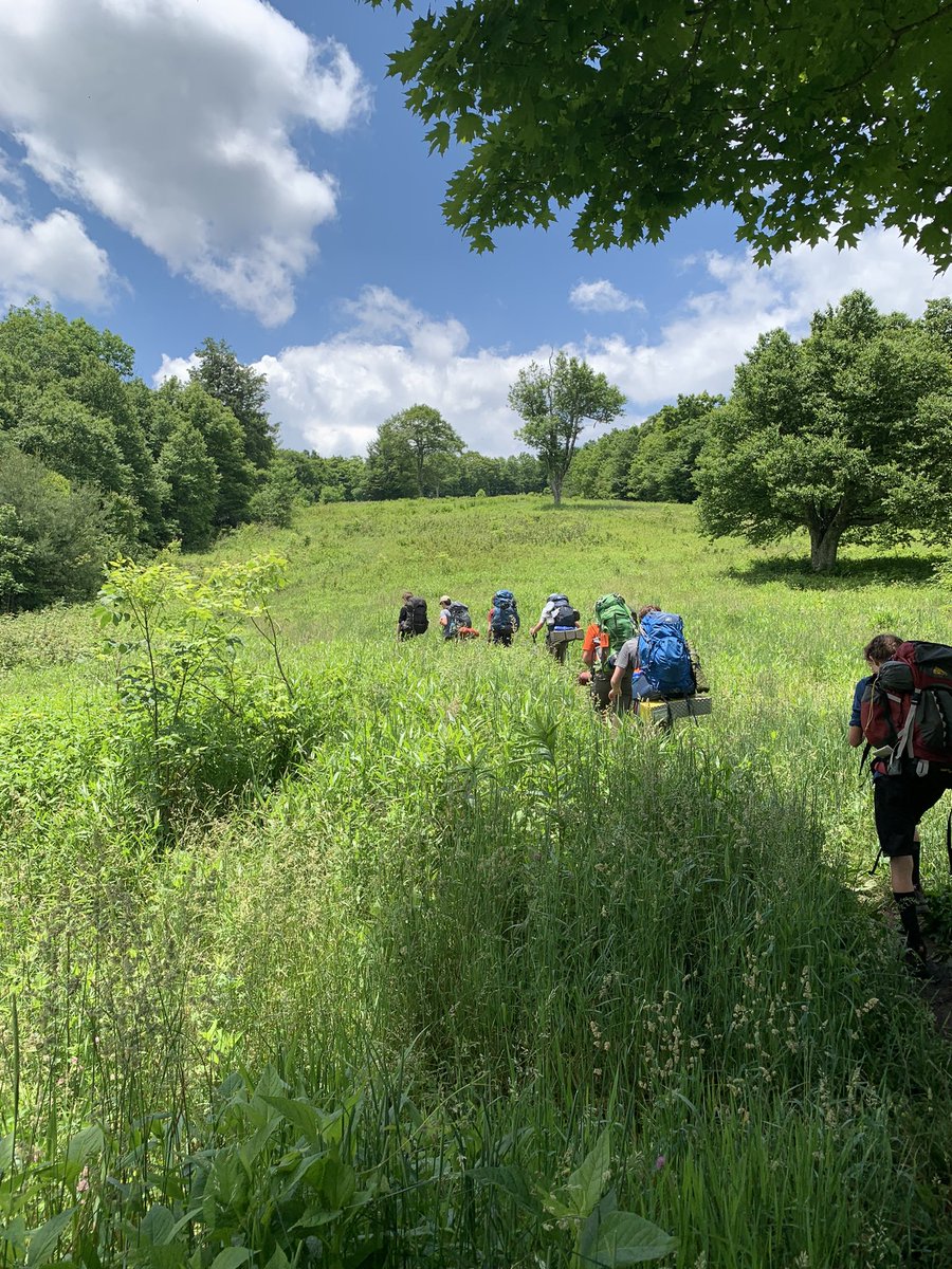 troop116's tweet photo. Our crew just finished 4 days on the Appalachian Trail. Beautiful weather and gorgeous views every day. https://t.co/e7DDBEKSVP