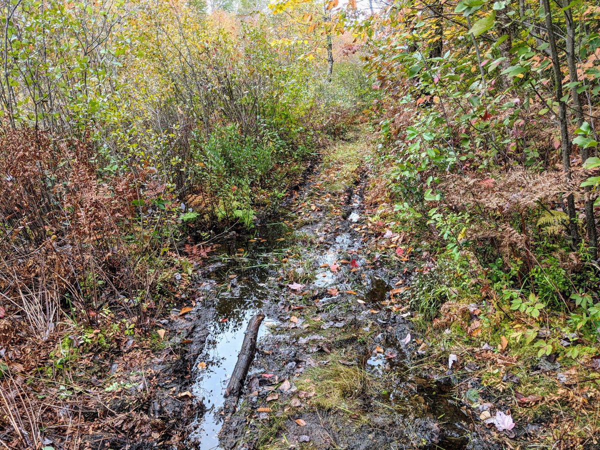 When I think back to the hardest Lost and Found Lando we've done, I think about last year's leaf pile... and this one. Good luck. 

Tell us where he is:
beaconbiblecamp.com/lando

#BeaconBibleCamp #BeaconUnlimited #LostAndFoundLando