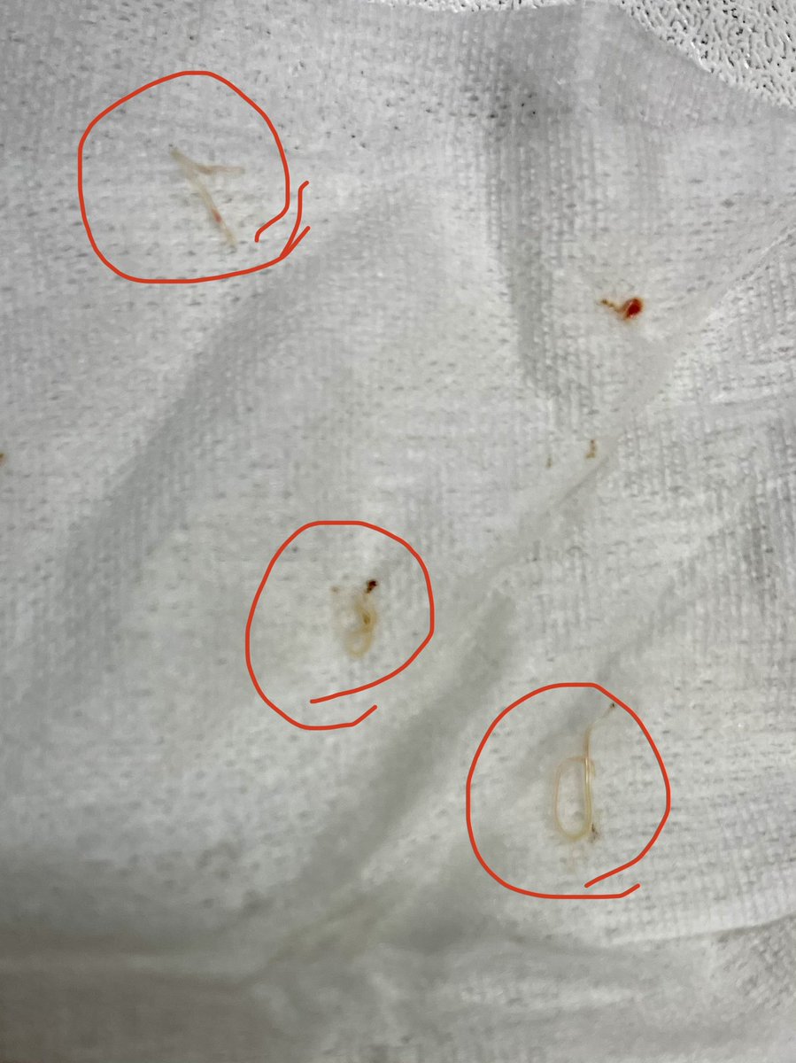 越前がに専門 魚屋の喰い処まつ田 Matsutaku773 Twitter