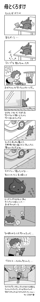 母とクロスケ
#こんなん描いてます
#自作マンガ #漫画 #猫まんが 
#4コママンガ #NEKO3 