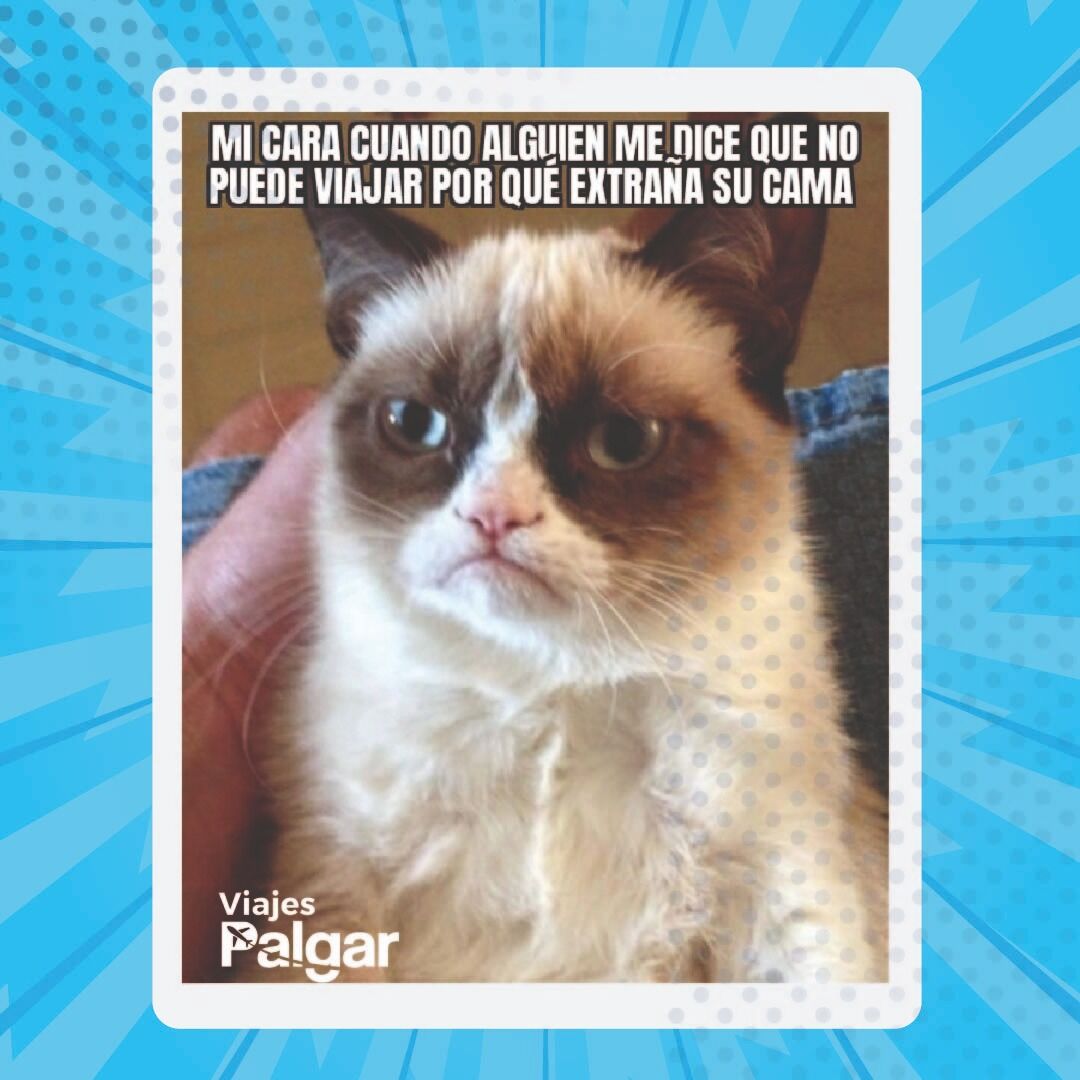 Memes Colombia (@memescolombiaoficial) • Instagram photos and videos, image size:1080x1080