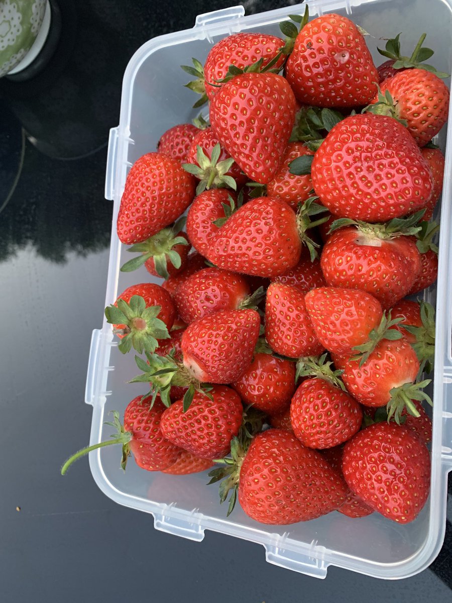 Lorna Payne tweet media