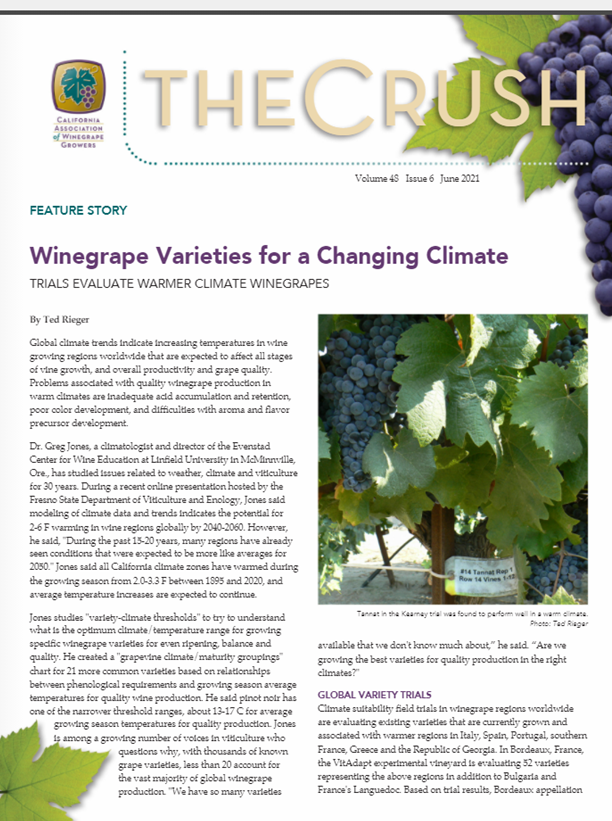 GrapeResearch's tweet image. .@CAWG_GROWERS’ June newsletter has a cover story on &quot;#Winegrape Varieties for a #ChangingClimate.&quot; It mentions an #NGRA-initiated project led by @ucanr’s @grapetweets to create a database of #varietytrials! #graperesearch #climatechange bit.ly/3pXNC5g