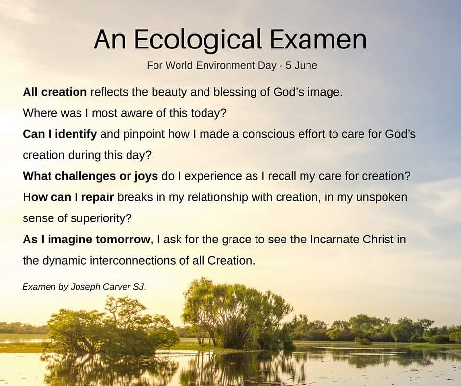 Have you tried using an ecological examen in your spiritual practice? This could also be a resource to share with your congregation.
#spiritualresources #resourcesforyourcongregation #ecotips #ecological #examen #spiritualpractices