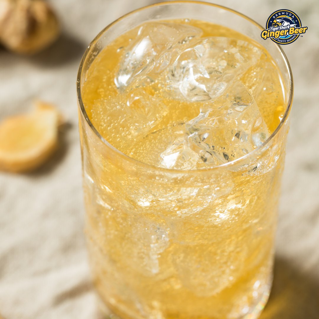 sharkgingerbeer's tweet photo. A perfect drink is always mixed with #TigerSharkGingerBeer. https://t.co/O9FhB66lKb