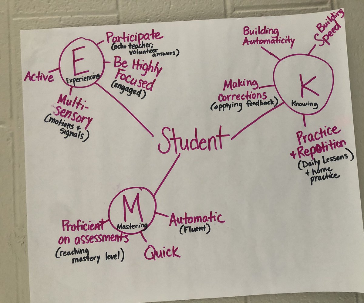 CathyBirchett's tweet photo. Day 3 &amp; 4 were full of deep learning surrounding fluency sub-competencies, building automaticity, and the roadmap to utilizing assessments with HQIM! Way to go White County educators! @reading360 https://t.co/2hlxO4ykZs
