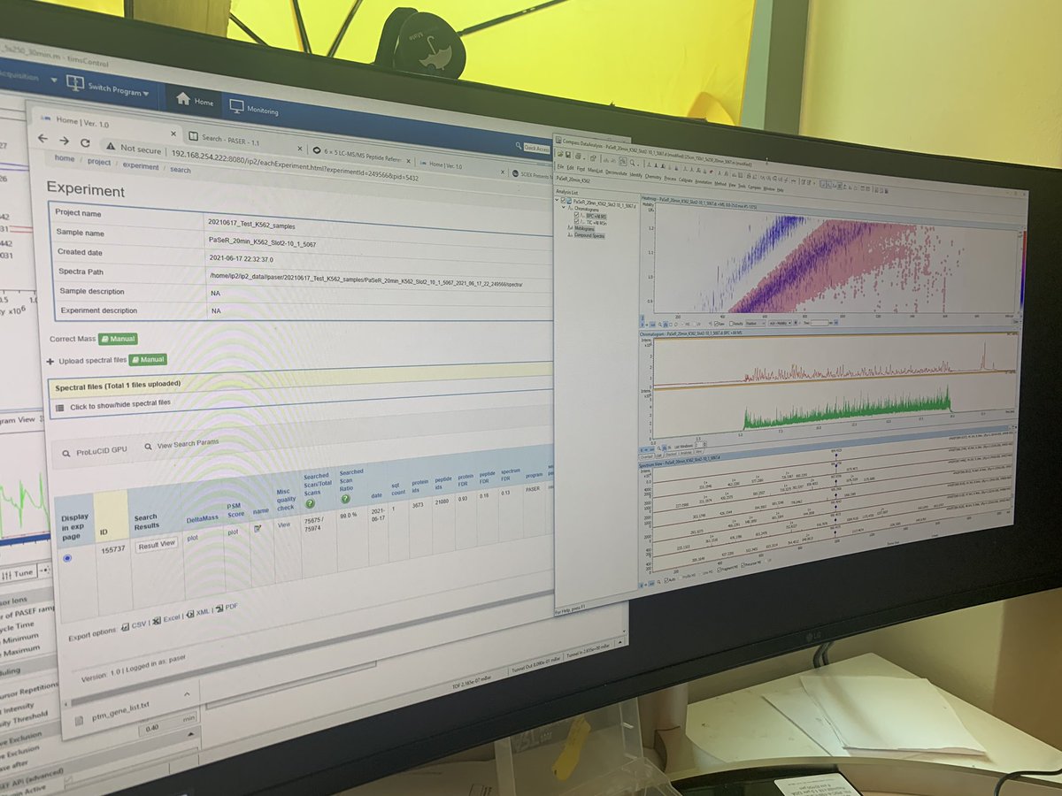 PaSER works! Running a ballistic 15 min gradient 850 nl/min through a 25 cm x 150 um 1.5um bead pepsep column . 21k peptides 3.6k proteins at  200 ng