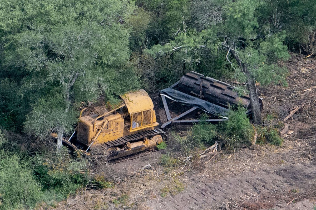 ecohouseok's tweet photo. Chaco fue la provincia con más pérdida de bosques nativos entre 2016 y 2019, con más de 130.100 hectáreas deforestadas. 🛑🌳

Este número parece no ser suficiente y @jmcapitanich quiere continuar permitiendo desmontes. ⚠️

#CapitanichViolaLeydeBosques #Bastadedesmontes https://t.co/nsHCYmT0ZA