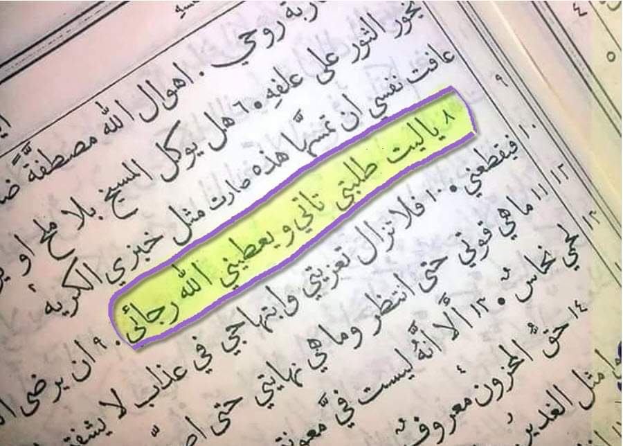 Mera Murad (@murad_mera) on Twitter photo 